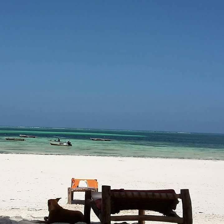 Sipano Beach Lodge Kiwengwa  Buitenkant foto