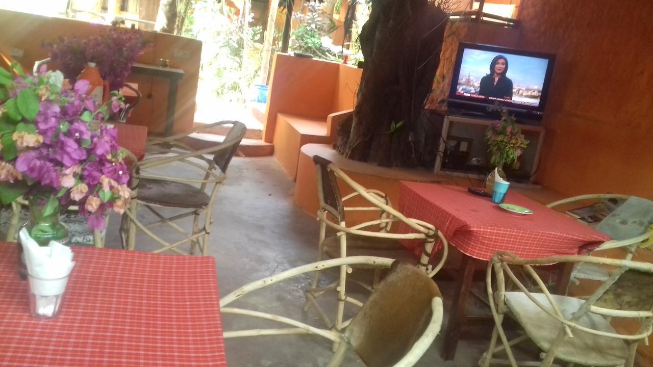 Sipano Beach Lodge Kiwengwa  Buitenkant foto